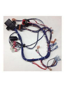 Generac 0G9081 WIRE HARNESS C/Panel Dropshipped from Manufacturer