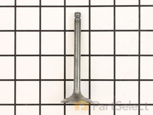 Generac G086516 Valve EXHAUST Dropshipped from Manufacturer