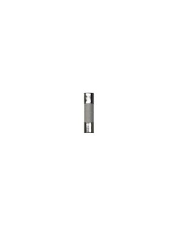 Generac 10000005117 Fuse 6.3A 250VAC 5mmX20mm