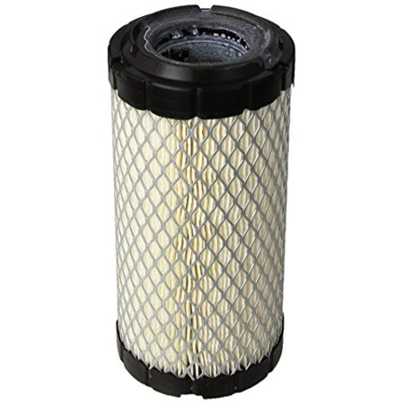 Onan 140-3071 Air Filter And Air Cleaner Element